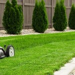 Photograph of lawn mower on the green grass. Mower is located on the left side of photograph with low angle view on grass field.